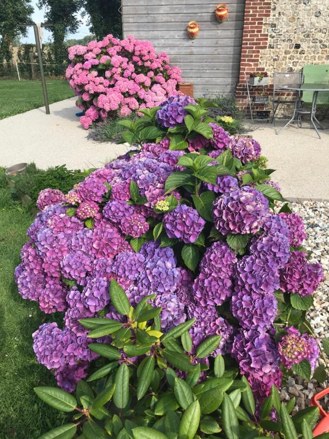 La Grange Aux Hortensias Thiergeville Exterior photo